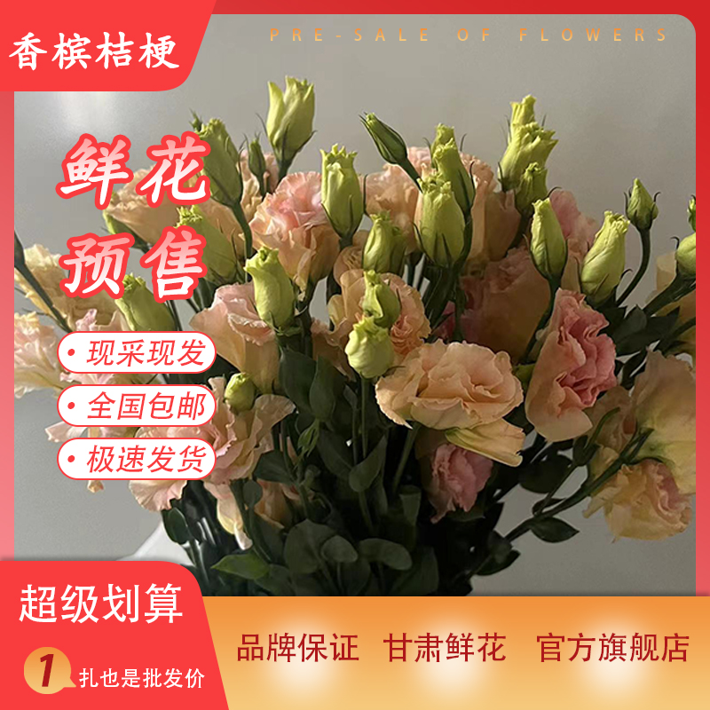 香槟桔梗鲜花