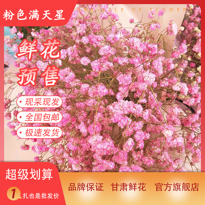 粉色满天星鲜花